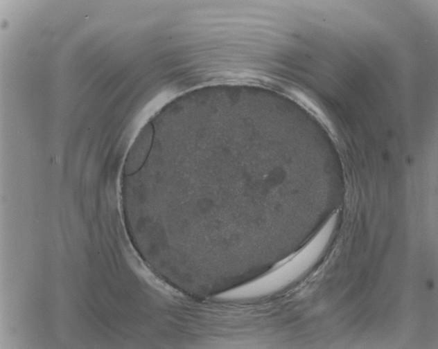 X0000063501283200601231428