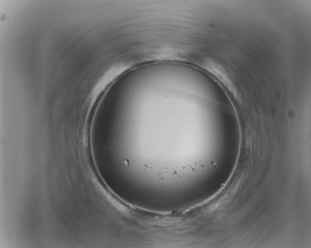 X0000063501285200601231428