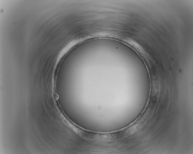 X0000063501286200601231428