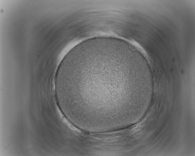 X0000063501287200601231428