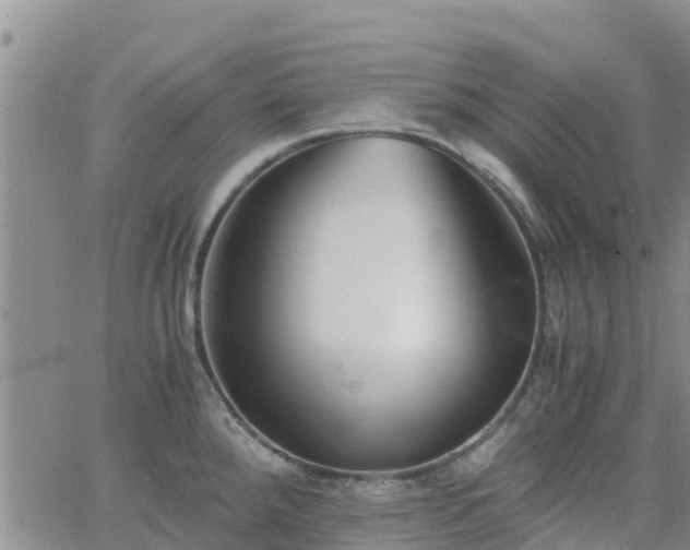 X0000063501288200601231428