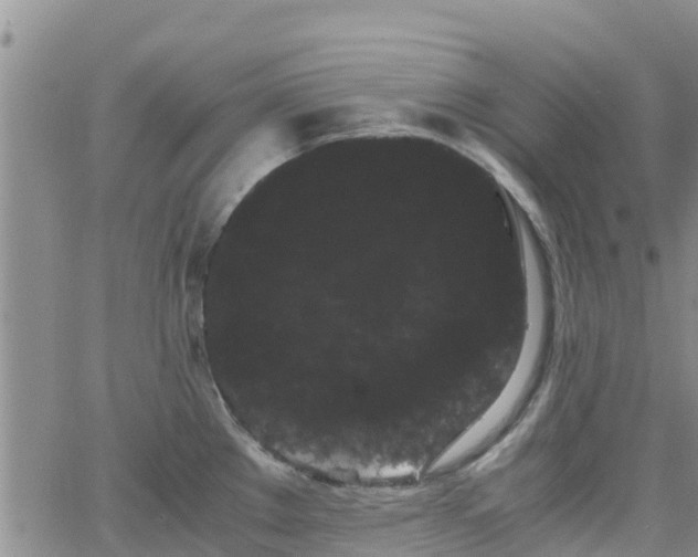 X0000063501289200601231428