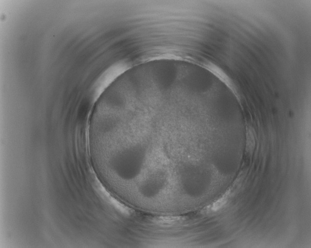 X0000063501290200601231428