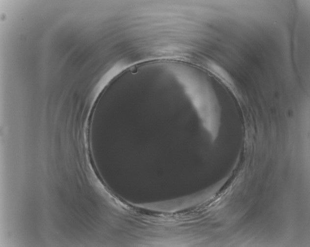 X0000063501291200601231428