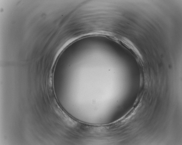 X0000063501292200601231428