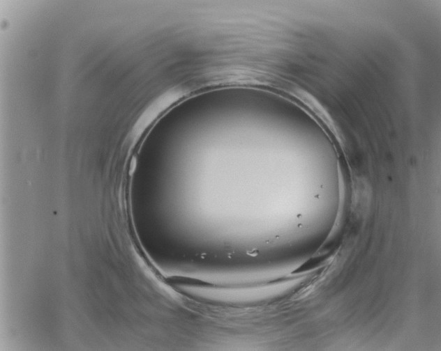 X0000063501293200601231428