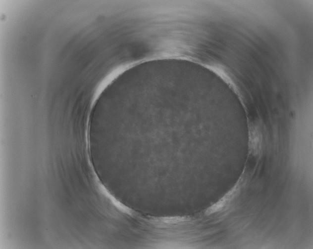 X0000063501294200601231428