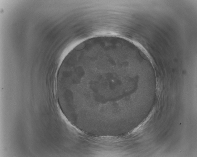 X0000063501295200601231428