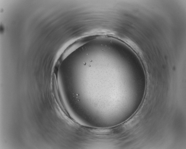 X0000063501296200601231427