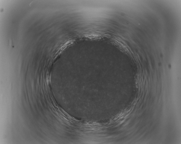 X0000063501298200601231427