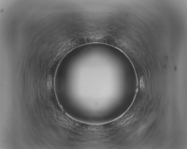 X0000063501299200601231427