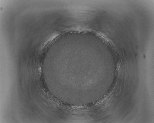 X0000063501302200601231427