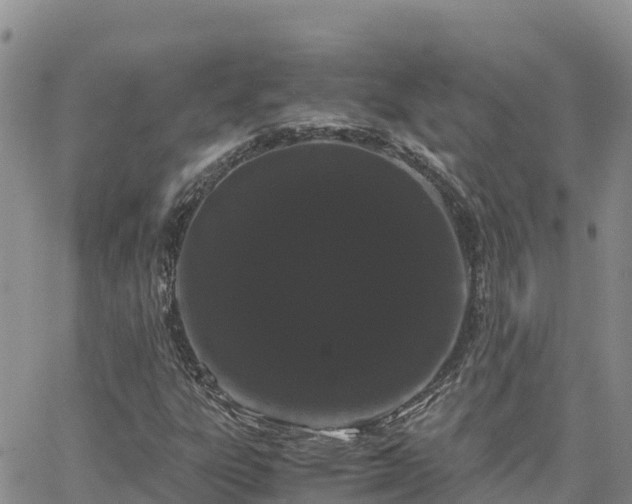 X0000063501303200601231427