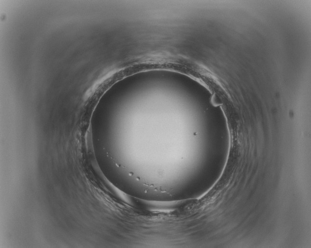 X0000063501304200601231427