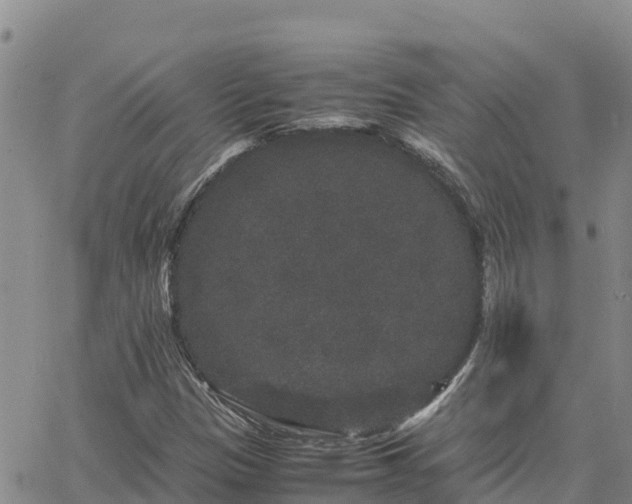 X0000063501305200601231427