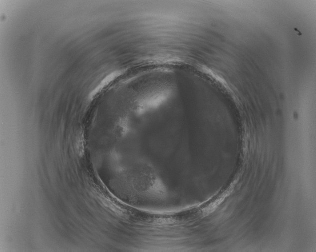 X0000063501306200601231427