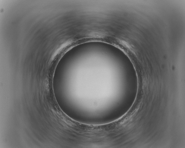 X0000063501307200601231427