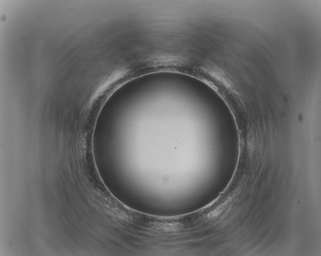 X0000063501309200601231427