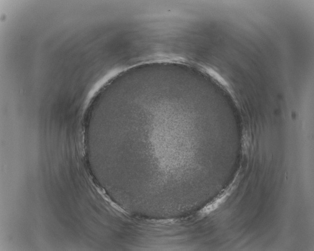 X0000063501310200601231427