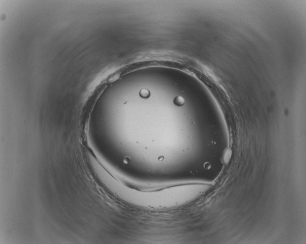 X0000063501312200601231427