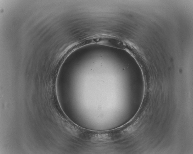 X0000063501313200601231427