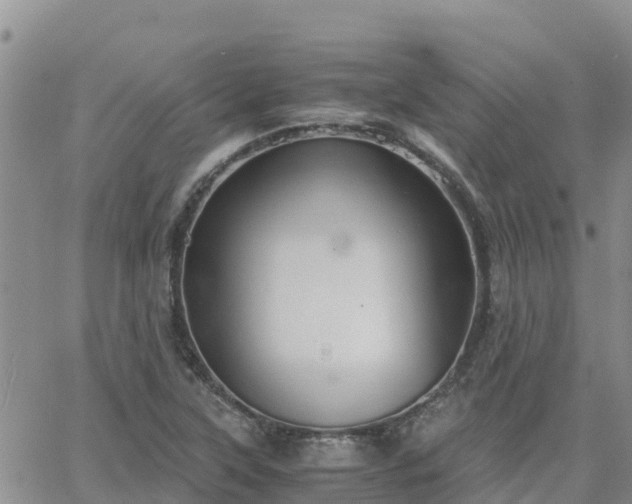 X0000063501315200601231427