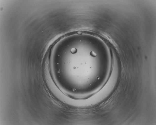 X0000063501316200601231427