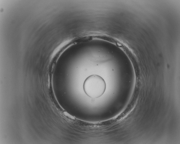 X0000063501317200601231427