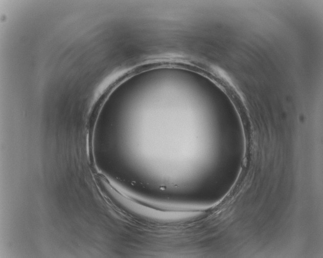 X0000063501320200601231427