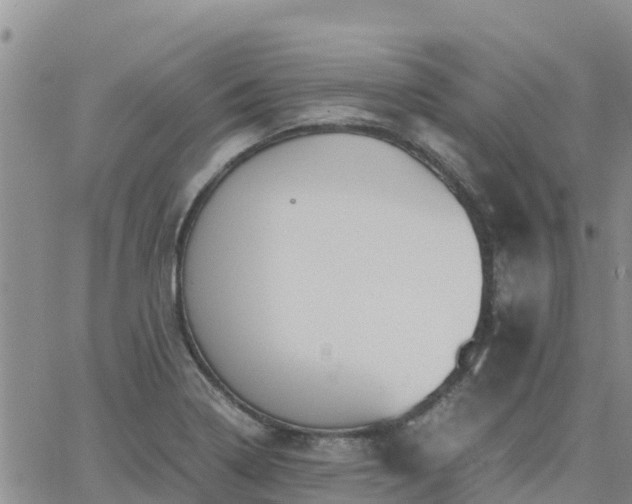 X0000063501322200601231427