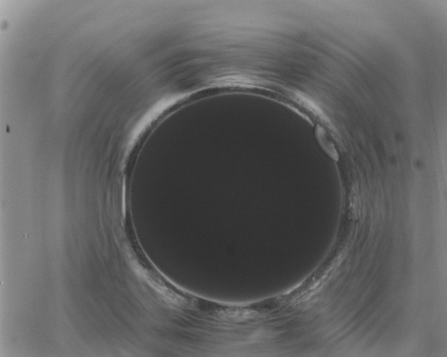 X0000063501323200601231427