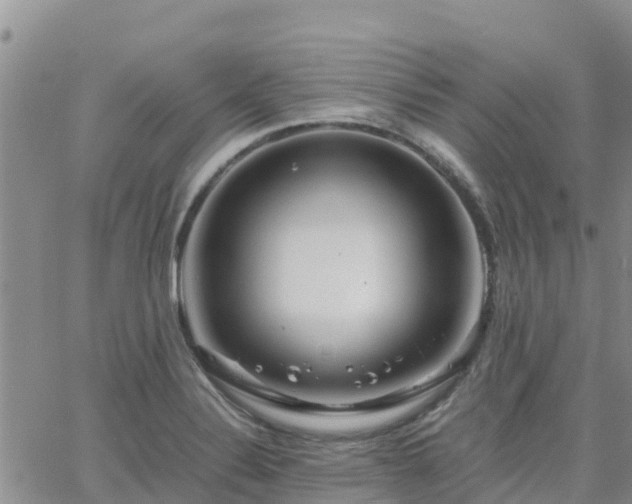 X0000063501324200601231427