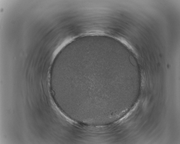 X0000063501325200601231427