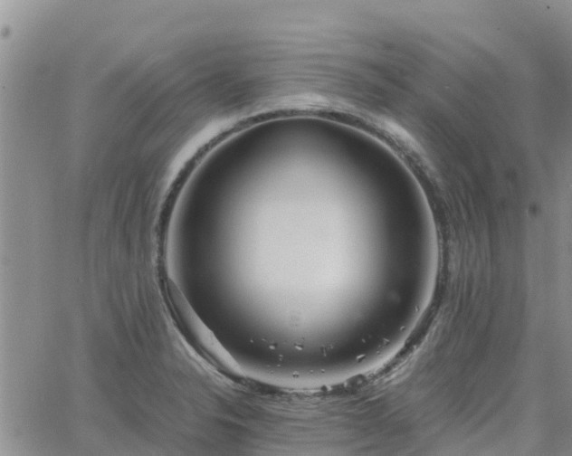 X0000063501326200601231427