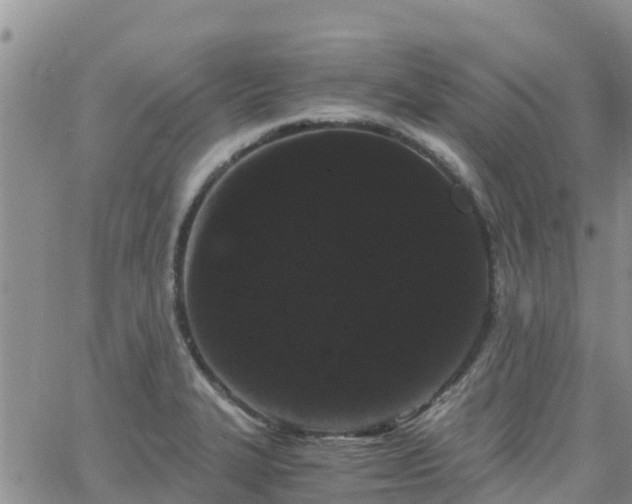 X0000063501327200601231427