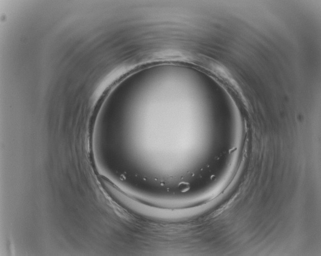 X0000063501328200601231427