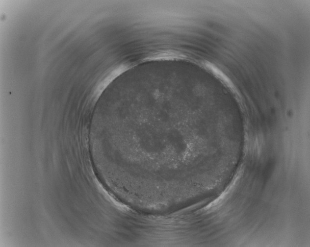 X0000063501329200601231427