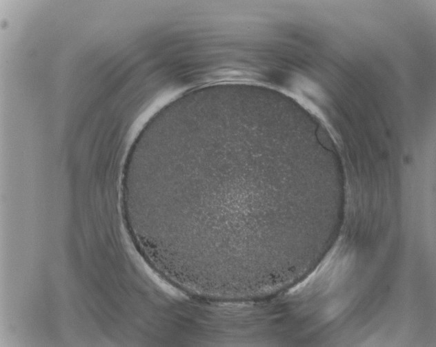 X0000063501333200601231427