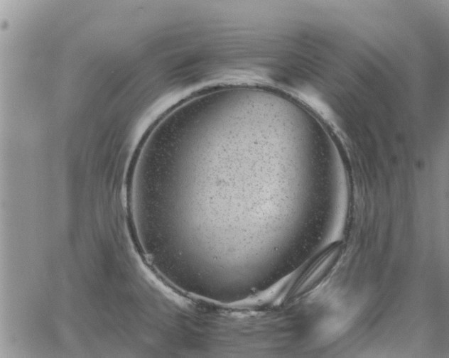 X0000063501335200601231427