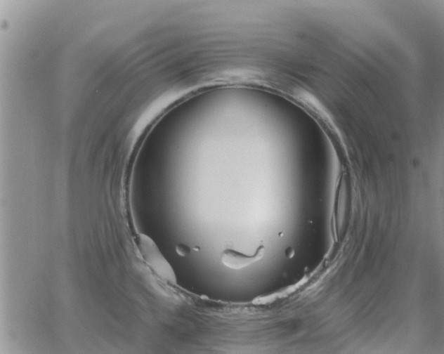 X0000063501336200601231427