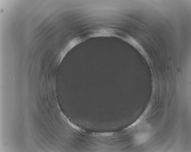 X0000063501337200601231427