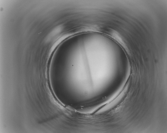 X0000063501339200601231427