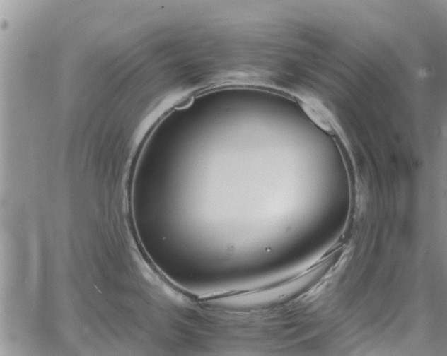 X0000063501341200601231427