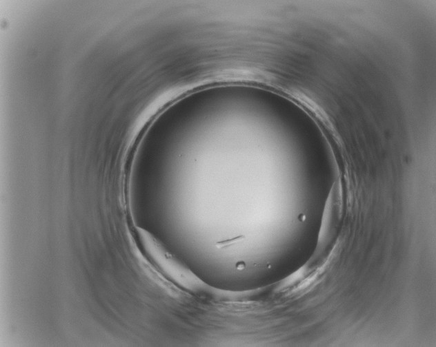 X0000063501342200601231427