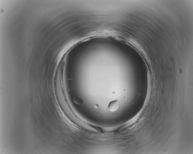 X0000063501344200601231427