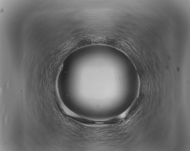 X0000063501345200601231427