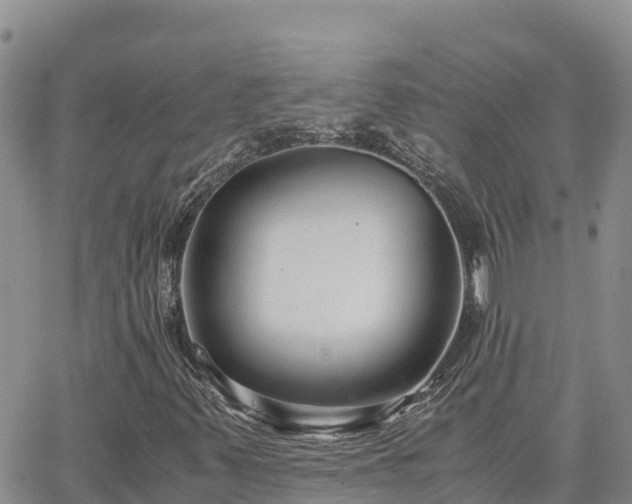 X0000063501347200601231427