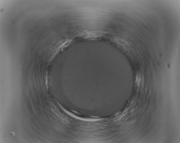 X0000063501348200601231427