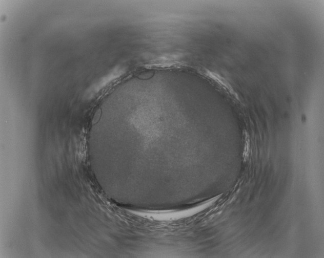 X0000063501350200601231427