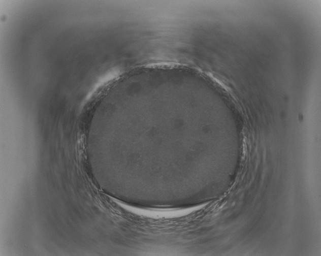 X0000063501351200601231427